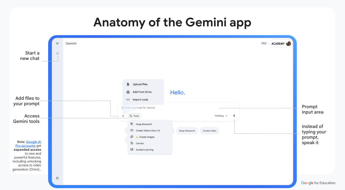 An image depicting the anatomy of the gemini application